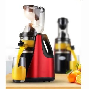 Extracteur de jus RAF
