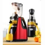 Extracteur de jus RAF