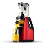 Extracteur de jus RAF – Image 3