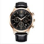 Montre Homme WLISTH